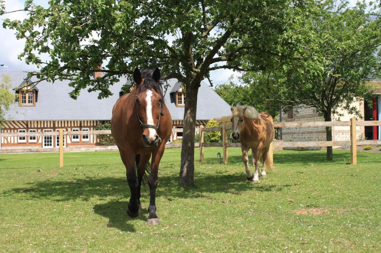 Sausseuzemare-en-Caux Le Clos Marie Bed & Breakfast エクステリア 写真