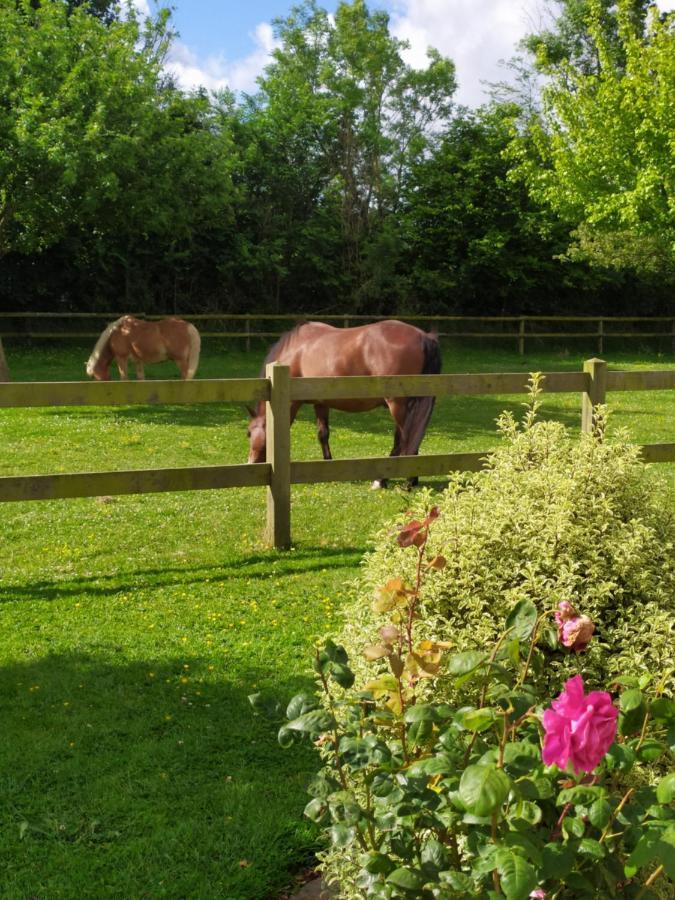 Sausseuzemare-en-Caux Le Clos Marie Bed & Breakfast エクステリア 写真