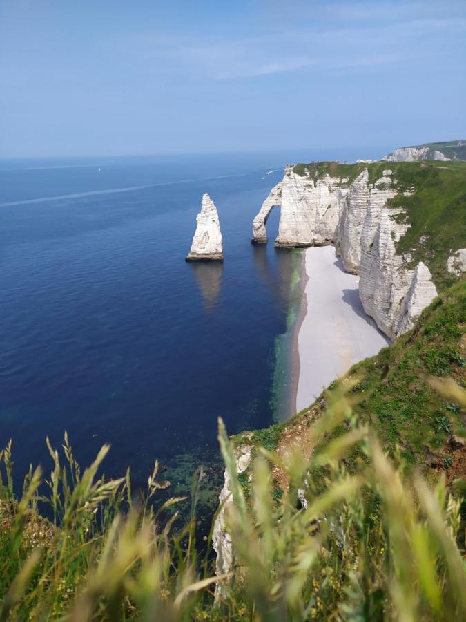 Sausseuzemare-en-Caux Le Clos Marie Bed & Breakfast エクステリア 写真